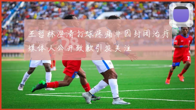 王哲林澄清打球疼痛非因封闭治疗媒体人公开致歉引发关注